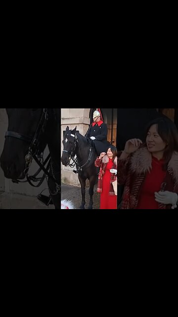 SCAREING THE TOURIST'S #horseguardsparade