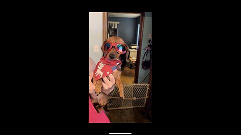 No help for freds surgery?https://gofund.me/250550aa