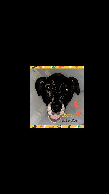 Doberdor Determination