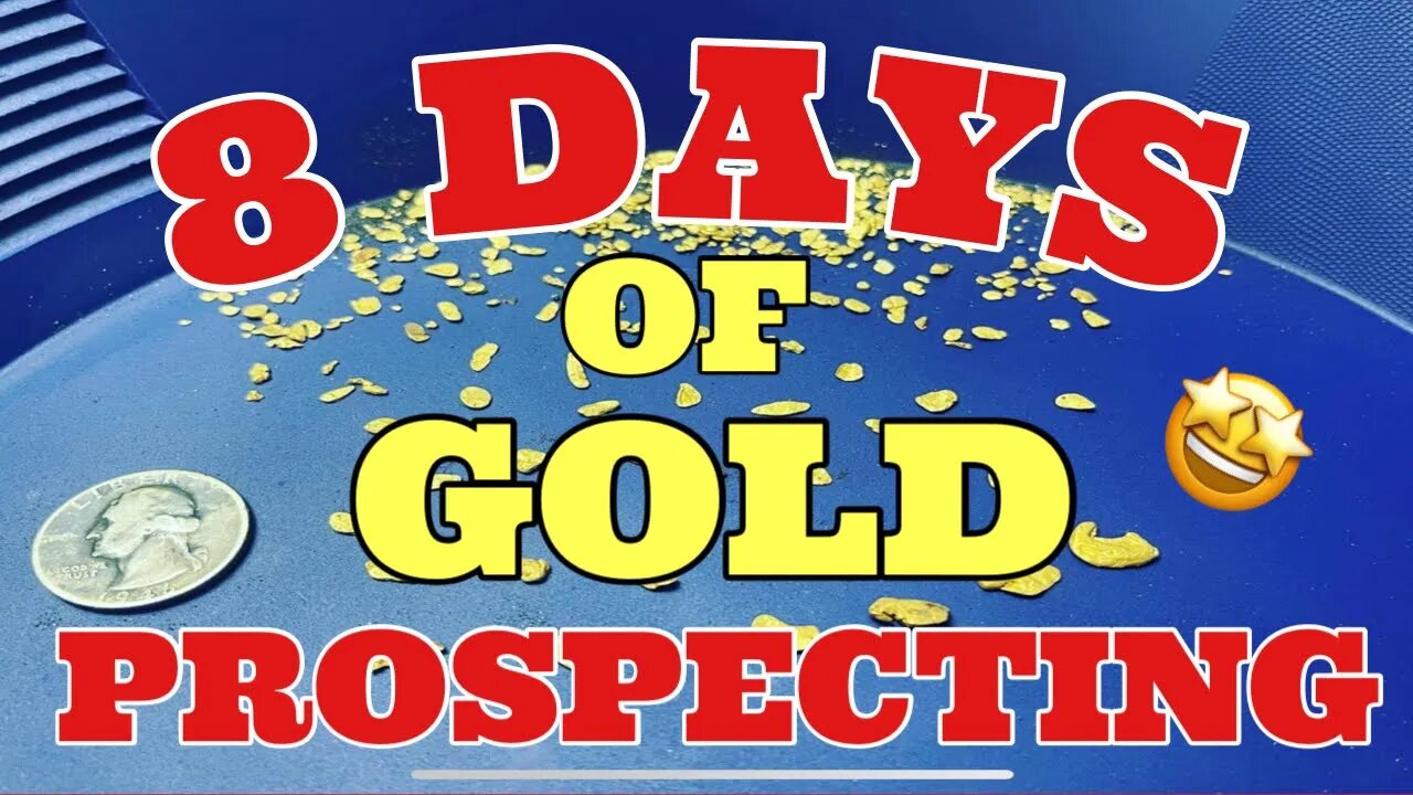 💥 8 DAYS OF GOLD PROSPECTING 💥 HOW MUCH DOES IT WEIGH ? 🤩 #gold #goldprospecting #goldrush