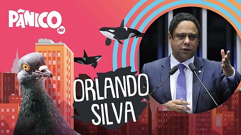 ORLANDO SILVA - PÂNICO - AO VIVO - 10/11/20