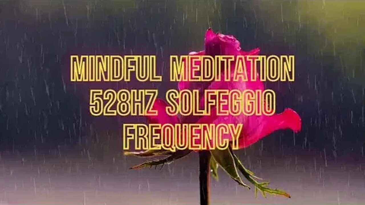 Mindful Meditation 528HZ Frequency Calming Centering Frequency 2HRS