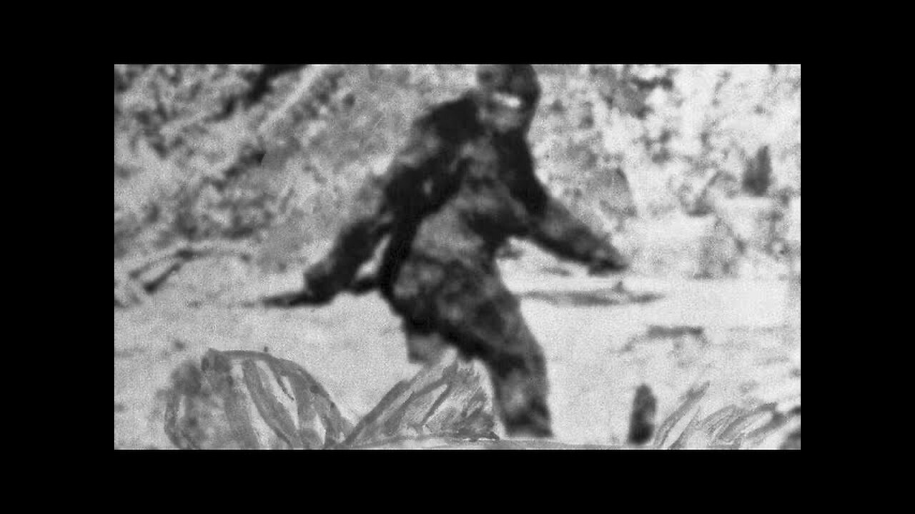 Bigfoot, real or not? | Sons of Thunder