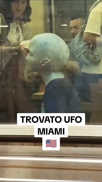 Alians in Miami