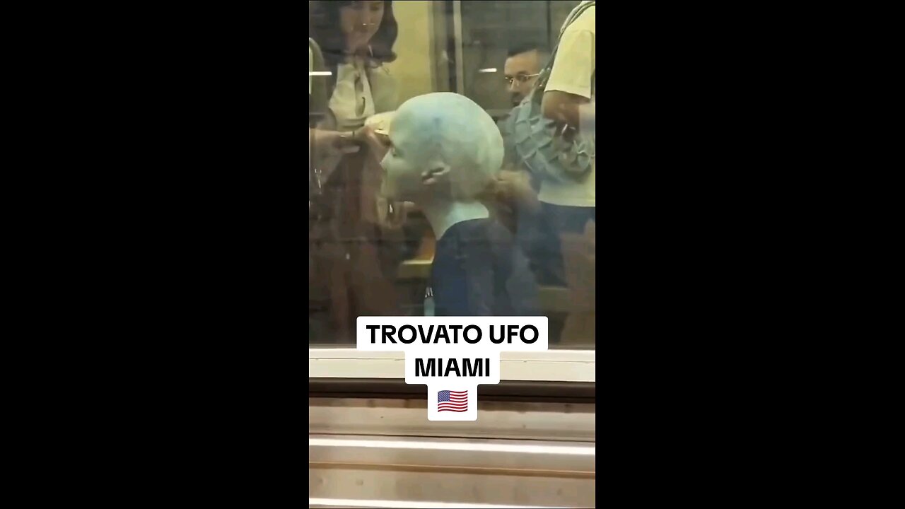 Alians in Miami