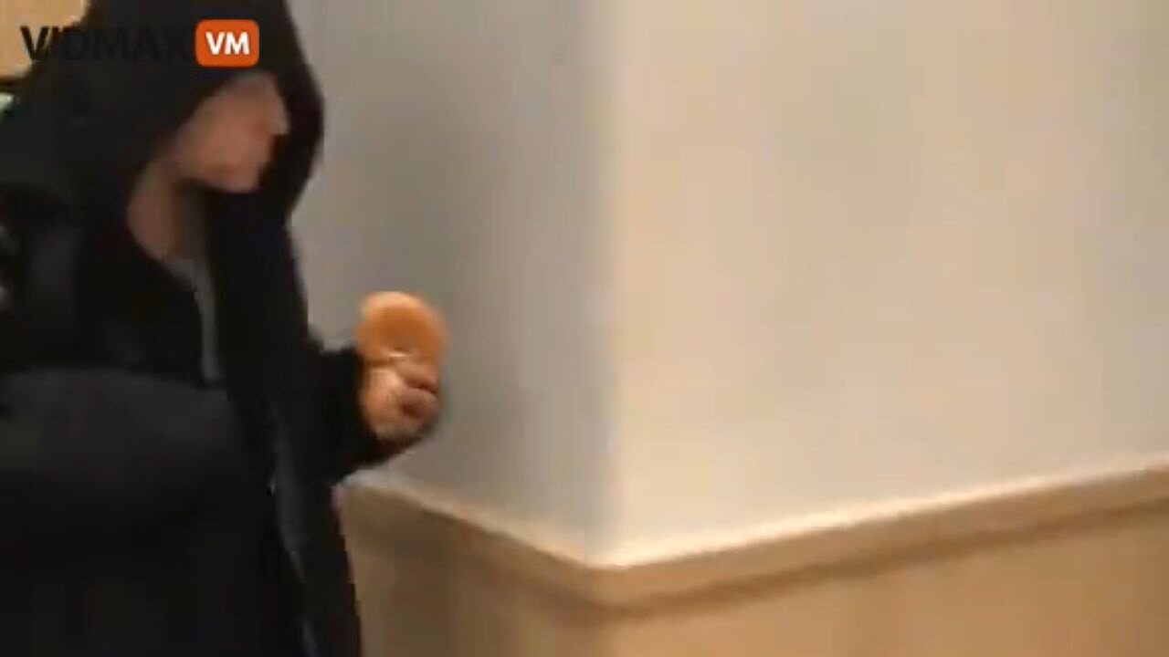 Criminal Mastermind Steals A Couple Of Donuts