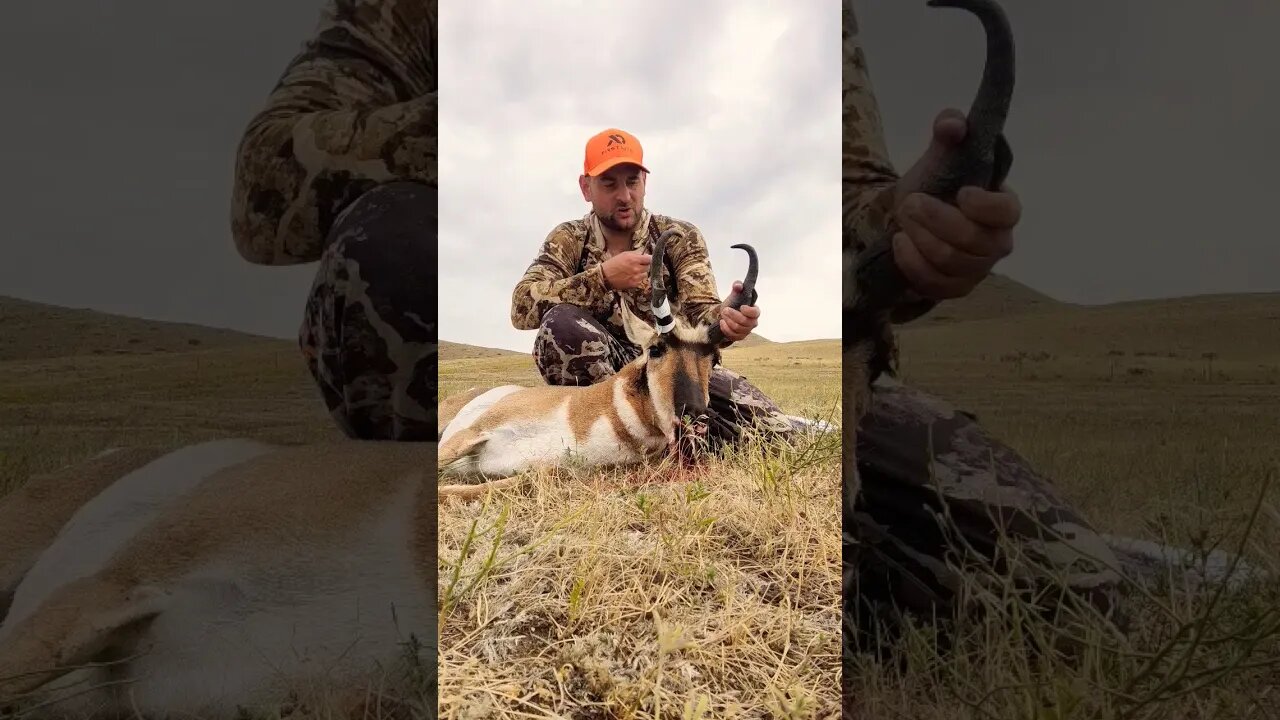 My Hardest Pronghorn Hunt!