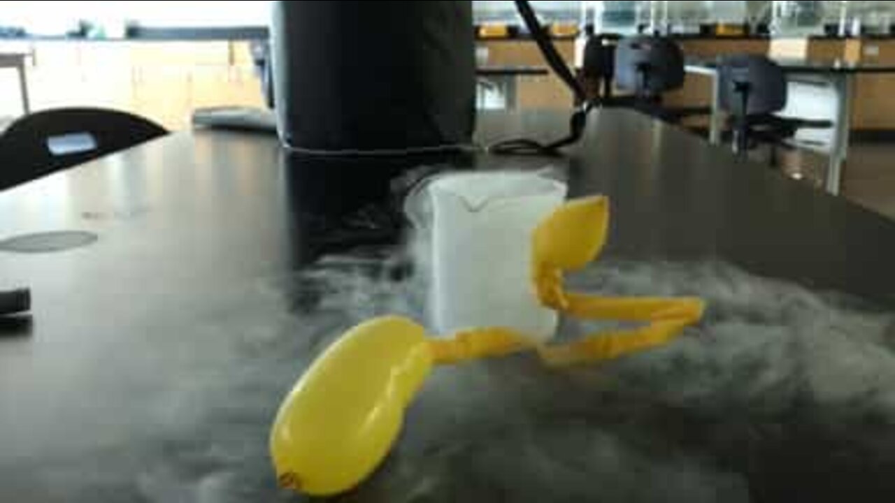 You won't believe what liquid nitrogen can do to a balloon!