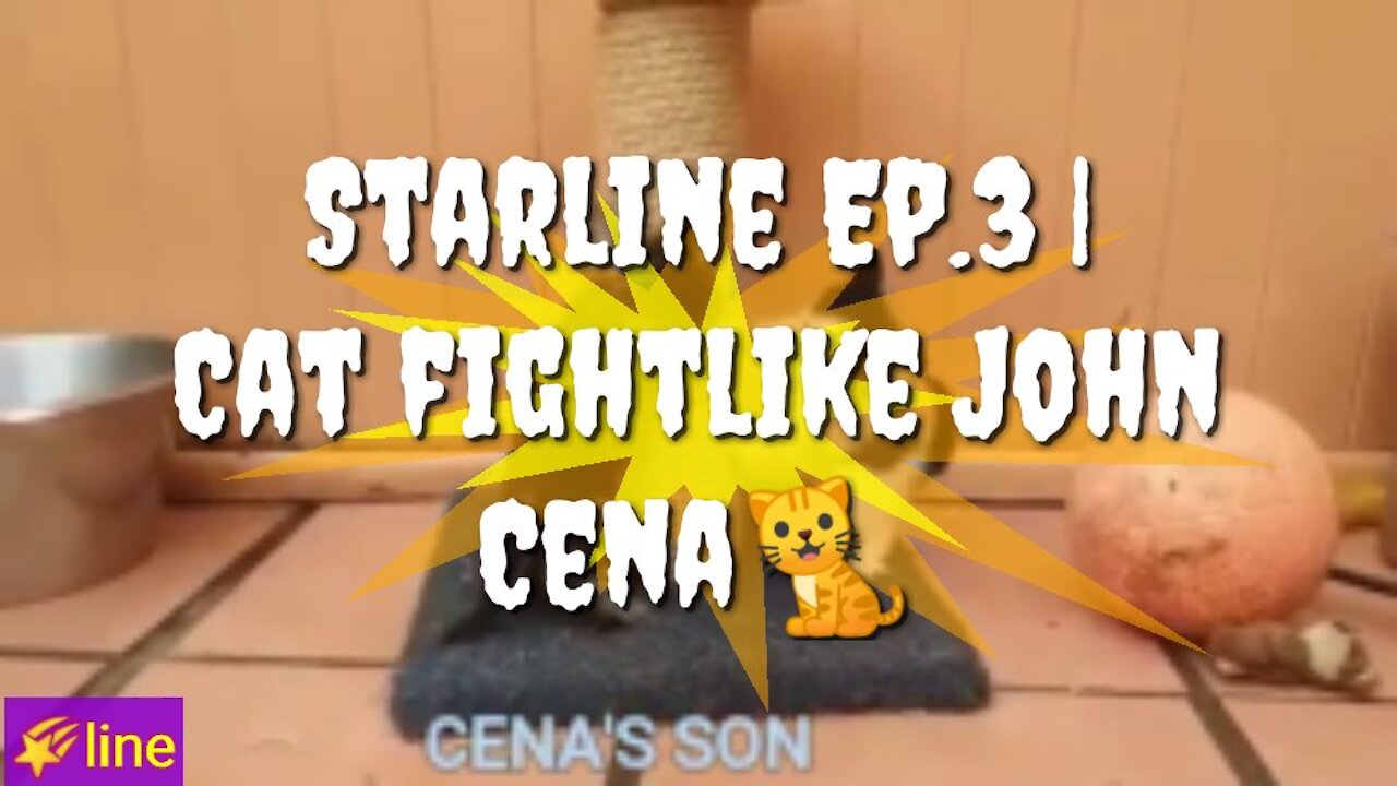 Starline Ep.3 | Cat fight like John Cena