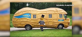 Planters looking for college graduates to drive Nutmobile