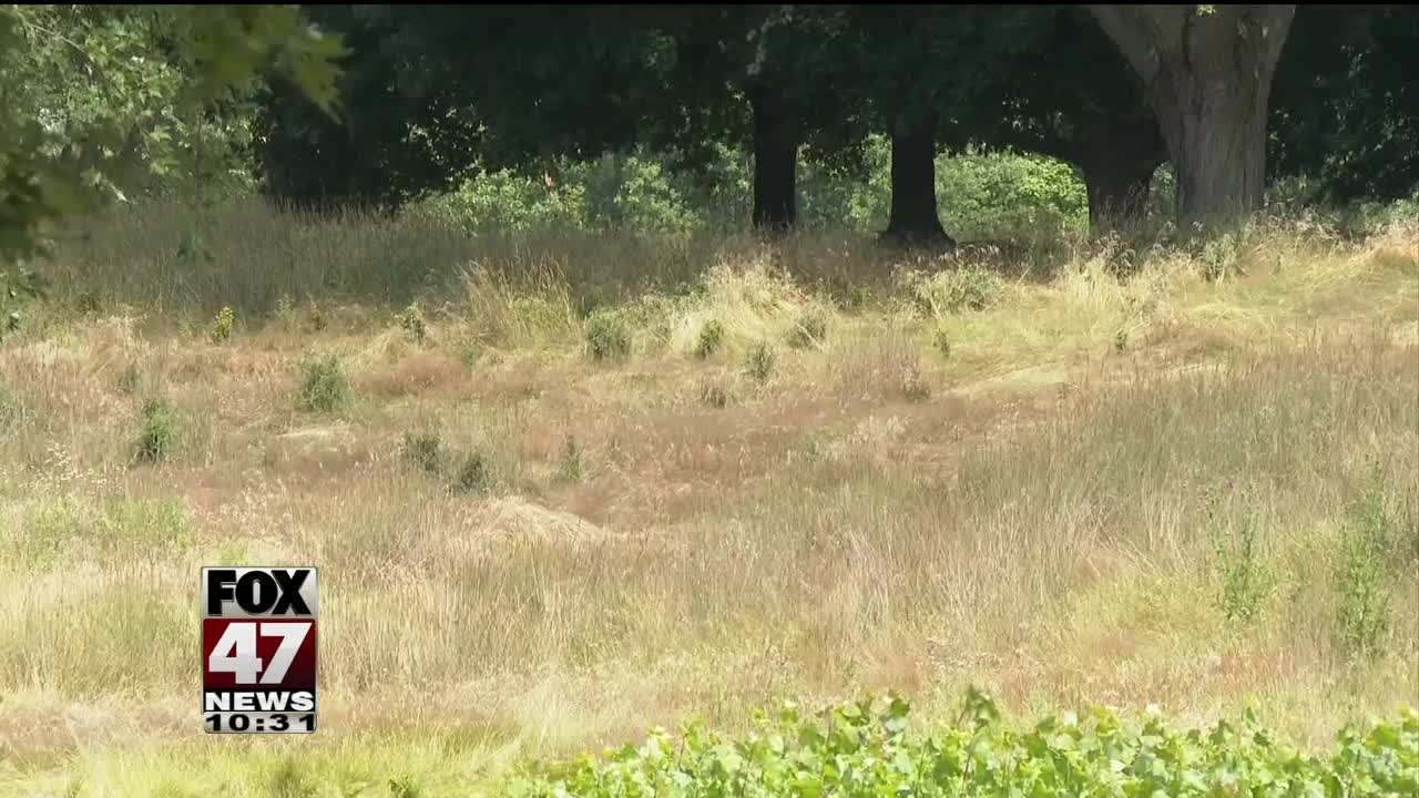 Meridian Twp. taking action to clean up old golf course