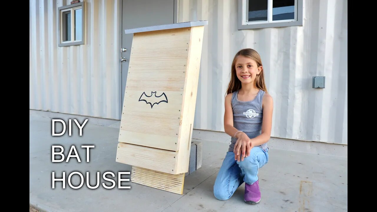 How to Build a DIY Bat House!