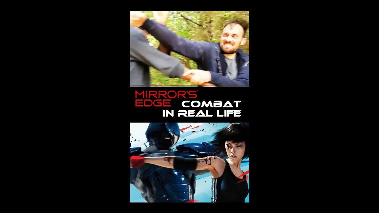 POV Mirror's Edge Combat Stunts In Real Life