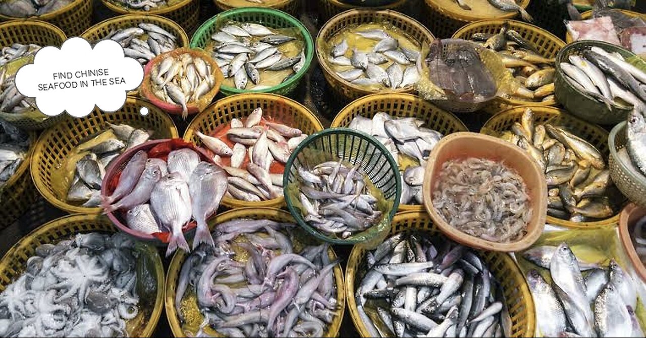 See how Chinese people search for seafood from the stagnant water of the sea