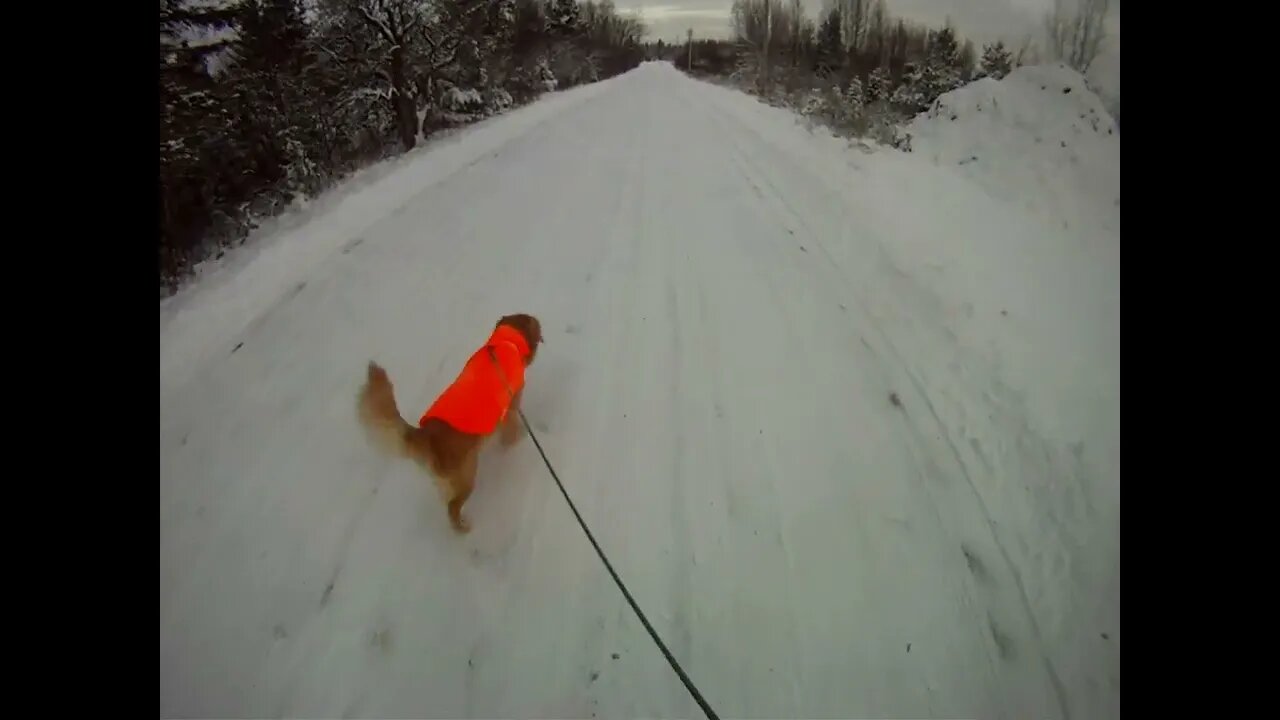 December 5th, 19º Flynn takes us into Prentiss for his morning routine.