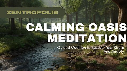 Calming Oasis Meditation For Stress And Anxiety Relief