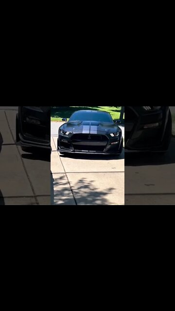 Pulling Up #ford #mustangsociety #fordperformance #fordracing #shelby #fordmustang #shorts