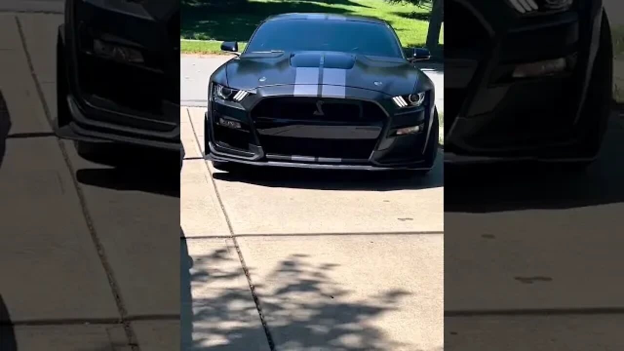 Pulling Up #ford #mustangsociety #fordperformance #fordracing #shelby #fordmustang #shorts