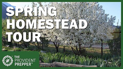 Building Self-Reliance: The Provident Prepper's April Homestead Tour