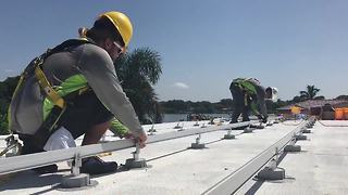 St. Pete considering new solar panel legislation-Digital Short