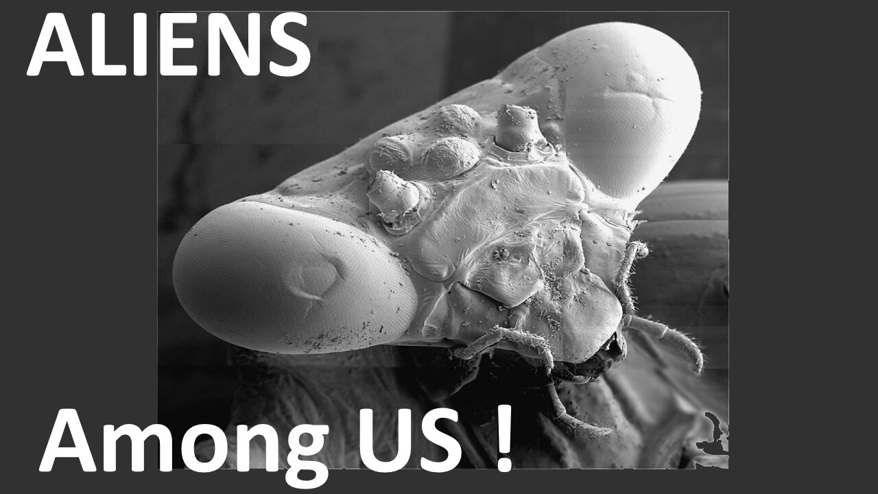 Proof real Aliens are all around us already