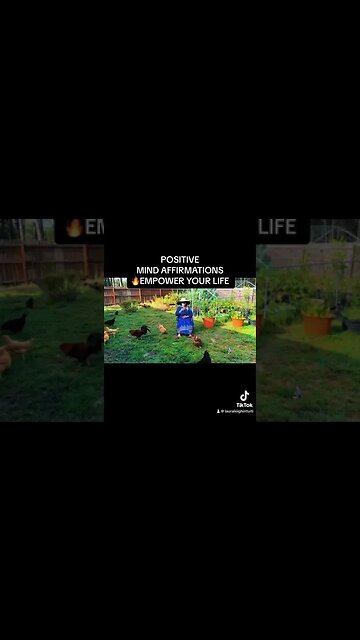 Positive mind affirmations #shortsfeed #affirmations #goodvibes #frequency #chickens #lawattraction