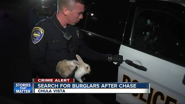 Chase of suspected burglars ends in Chula Vista neighborhood; bunny, shotgun found inside car
