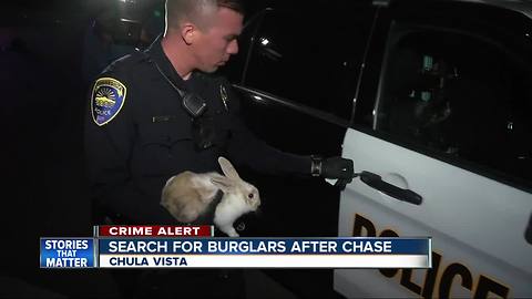 Chase of suspected burglars ends in Chula Vista neighborhood; bunny, shotgun found inside car