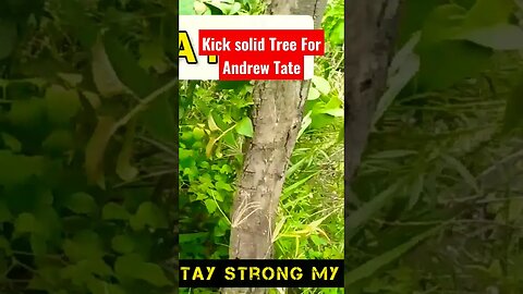 Fighter Brotherhood | Respect Fr Andrew Tate #youtube #shorts #andrewtate
