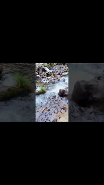 for the love of gaia...🙏💜🌈