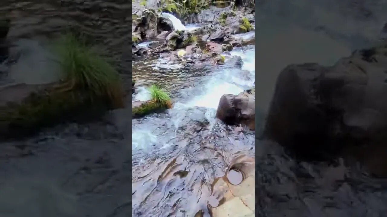 for the love of gaia...🙏💜🌈