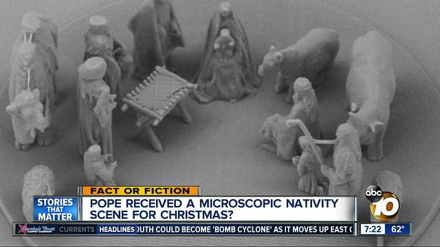 Microscopic Nativity Scene?