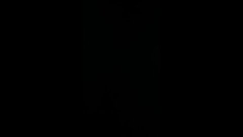 How to pronounce Trump truck