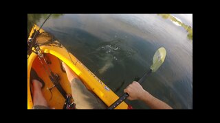 Diy Kayak Anchor and Pole anchor.