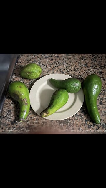 #CATS VS #DOGS #compilation #viralvideo #funny #hilarious #news