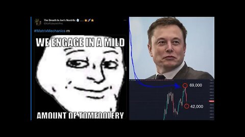 Elon Musk 69 420 Bitcoin Synchronicity Confirmed Range. Small Patriot twitter accounts in cahoots?