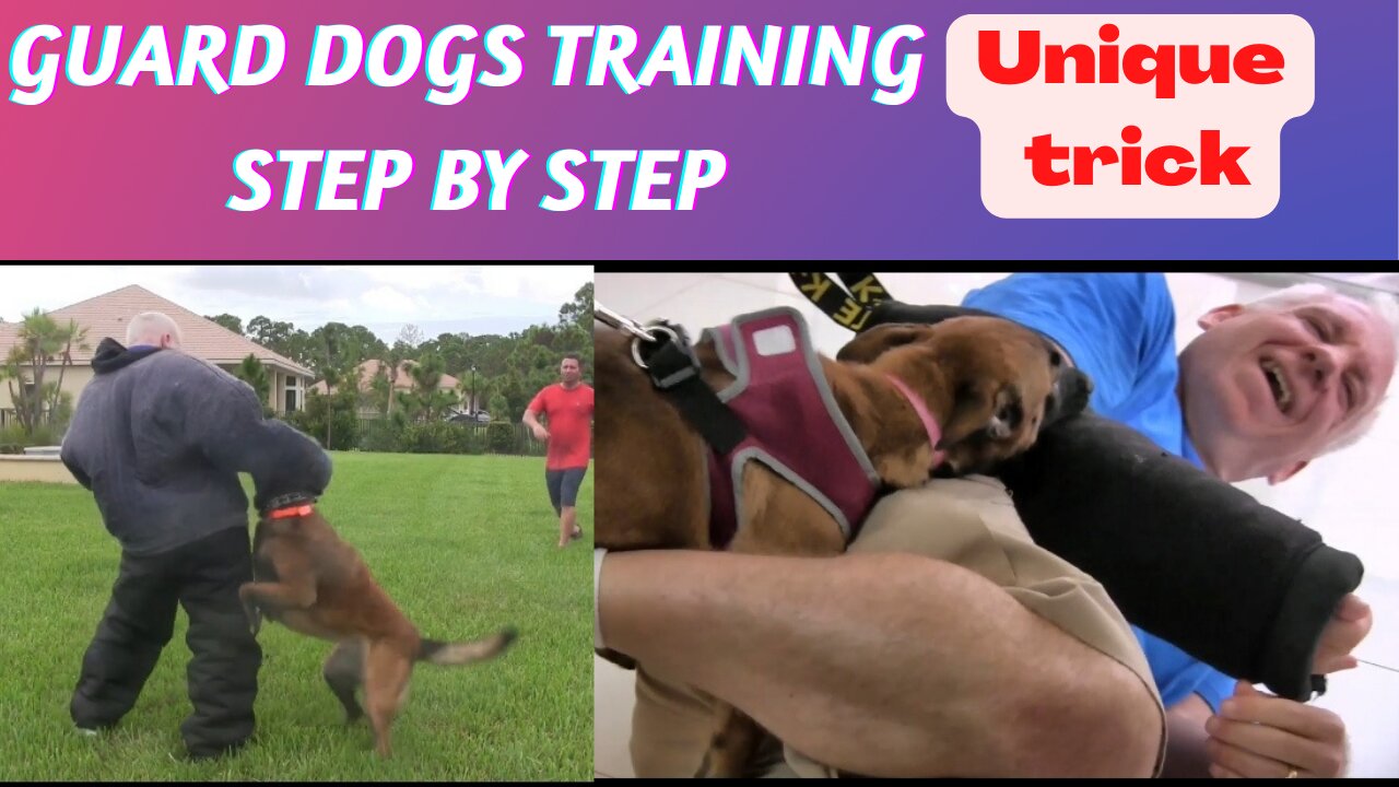 Guard dogs training step by step 🐕‍🦺 unique trick