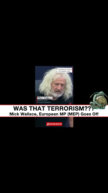 Was THAT Terrorism??? -- Mick Wallace, European MP (MEP) Goes Off