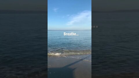 Take a moment to breathe and reset your intentions for today…