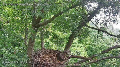 Hays Eagles H20 Visits the Nest 7.15.23 18:52