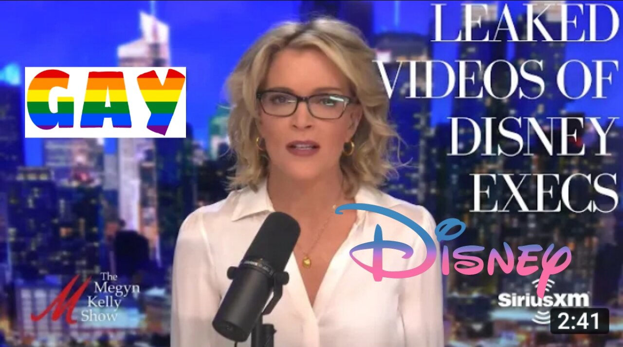 Megyn Kelly Reacts to Leaked Videos of Disney and gays