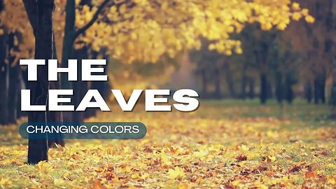 The Leaves - SV - Theranade - OfThera