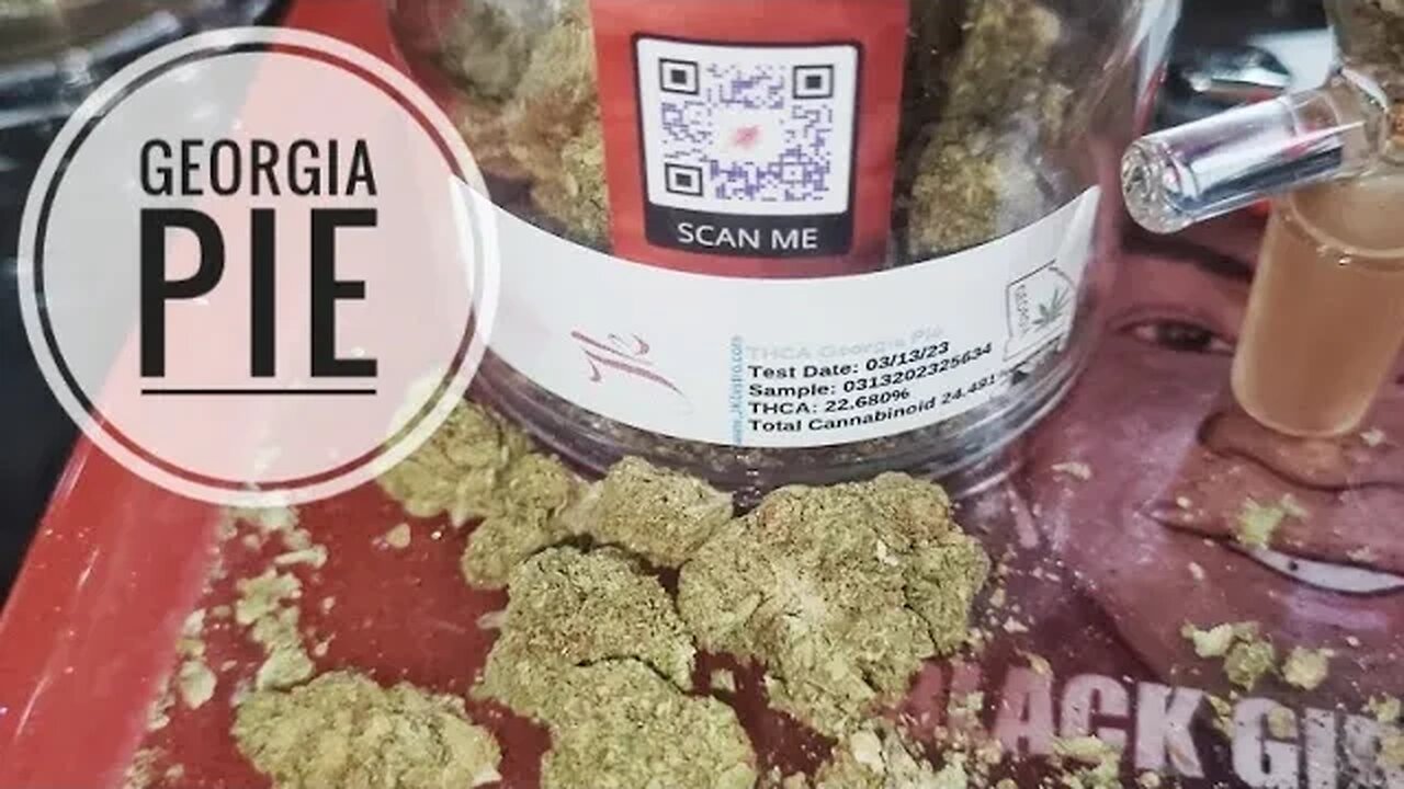 THCA Georgia Pie | JK DISTRO