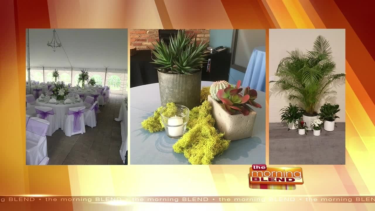 The Plant Professionals - 5/11/21