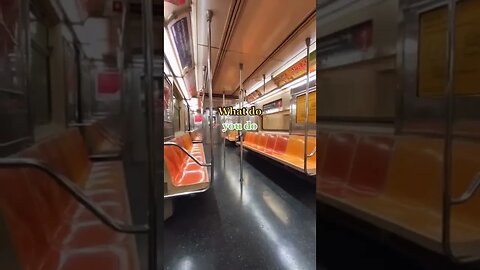 What would you do on an empty NYC Subway car?