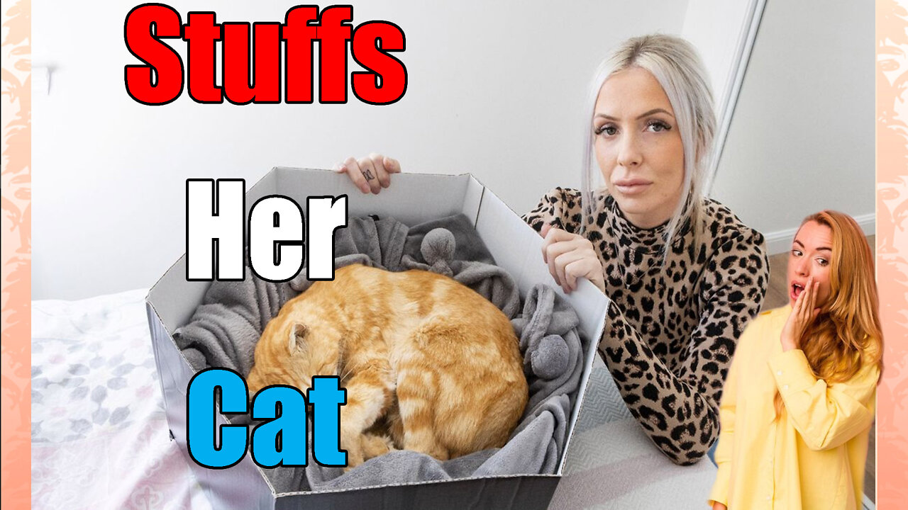 news of the bizarre She Paid 5000 Dollars🤑 to Stuff Cat🐈