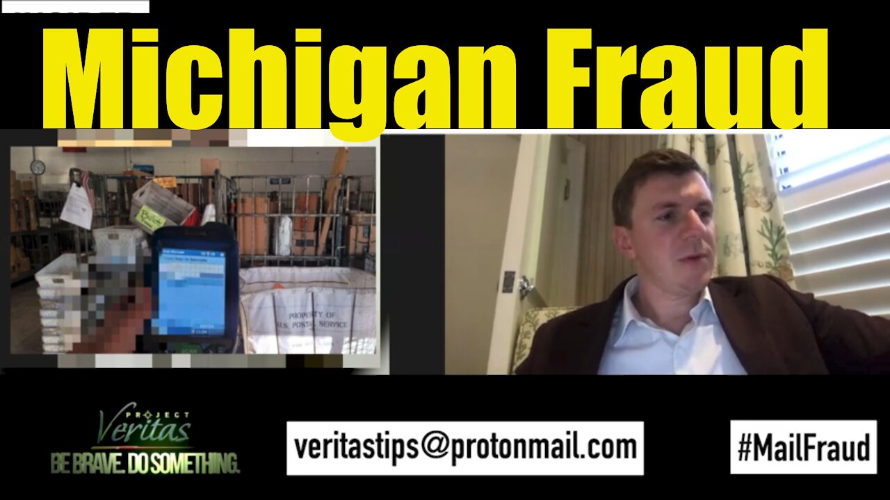 Mail in Fraud Michigan, Veritas