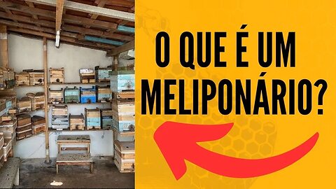 O que é um Meliponário?