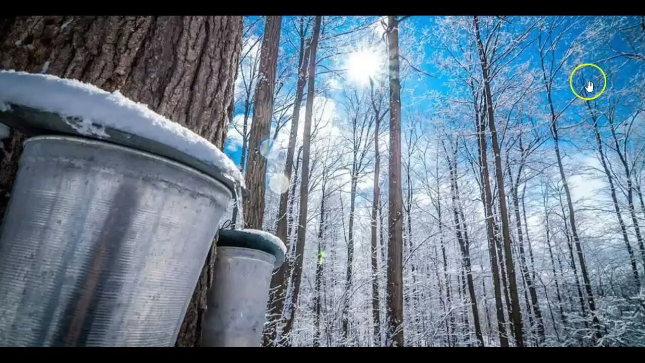 Wordle No. 546 for December 17, 2022 ... Happy Maple Syrup Day!