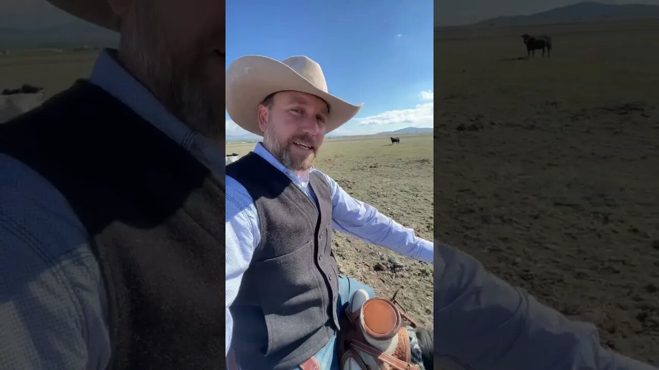 Rancher Secrets?